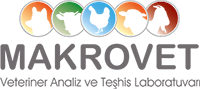 Makrovet